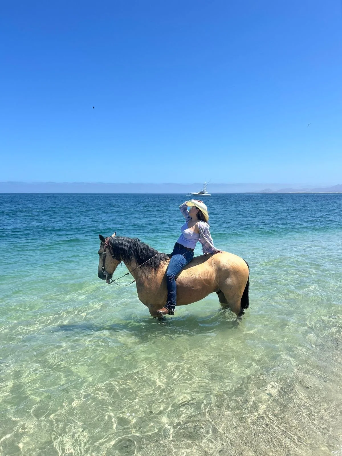 WhatsApp Image 2026-02-16 at 19.19.14 (2).jpeg