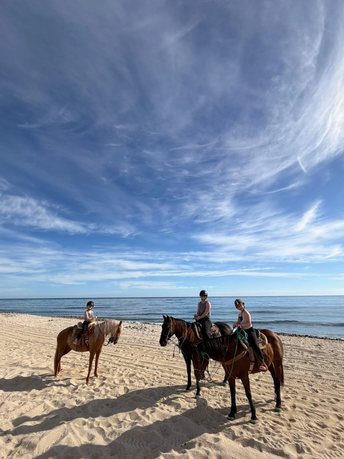 WhatsApp Image 2026-02-15 at 09.58.15.jpeg