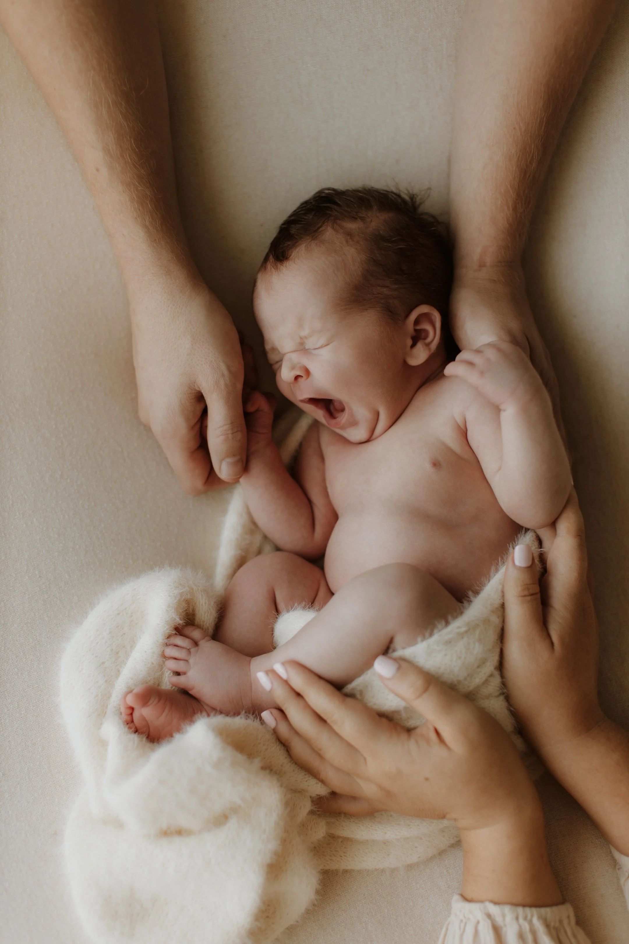 Newborn