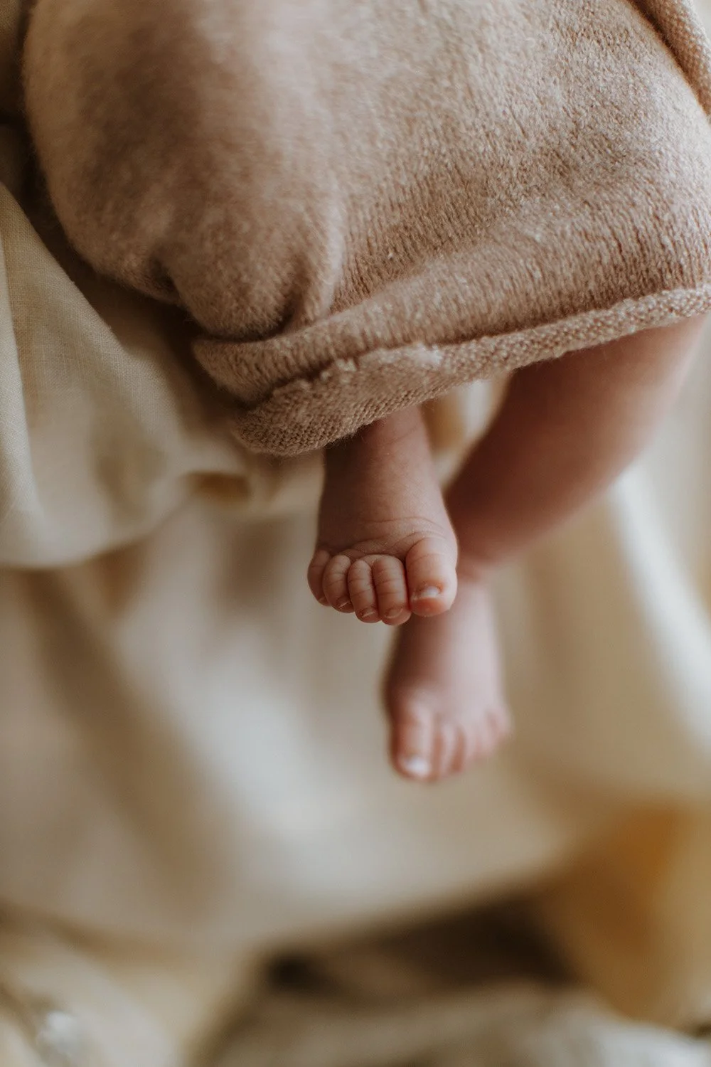 Baby toes close up