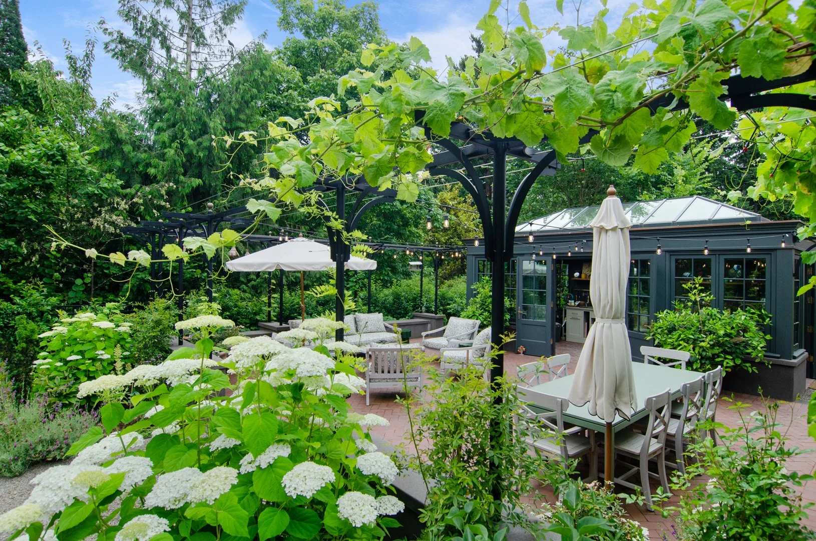 The pergola features a mix of flowering and edible vines, including table grapes, roses, passionflower, and wisteria.  Market lights stretch over the terrace.