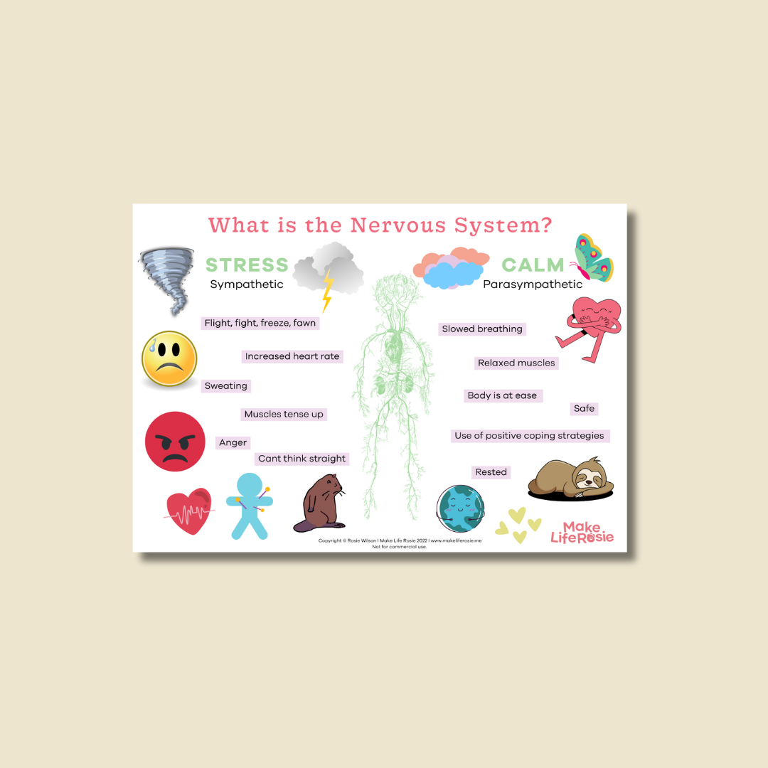 What is the Nervous System?