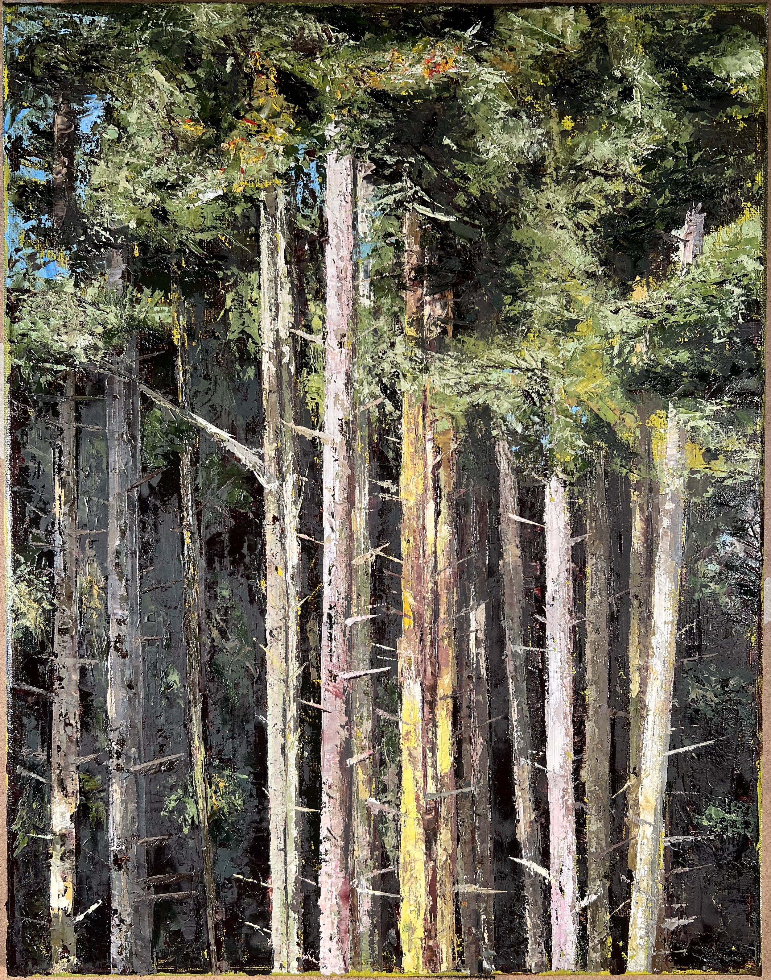 Ebey Trees