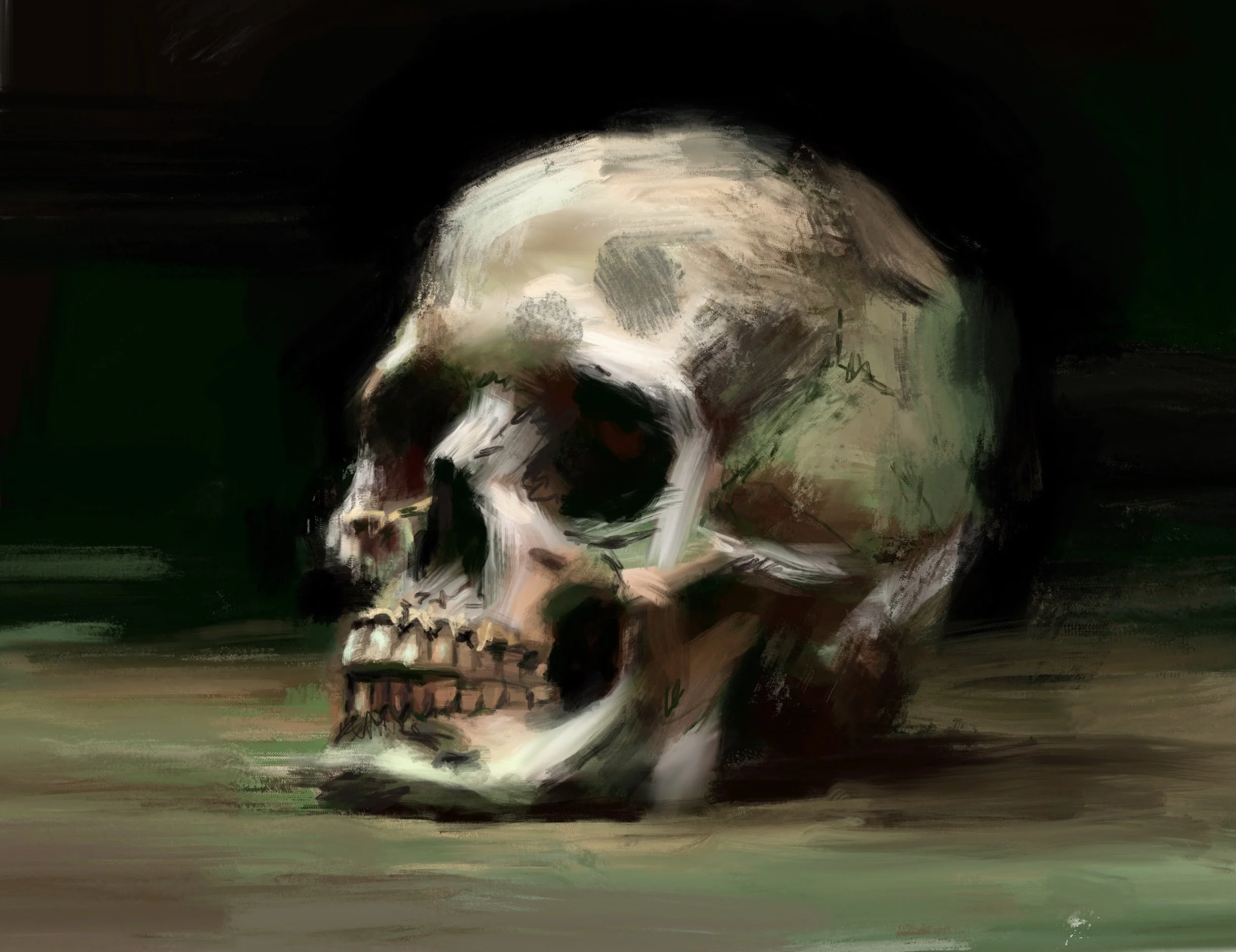 Skull sketch 2 (digital)