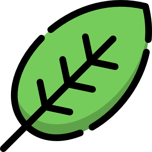 Illustration of a green leaf with a black outline