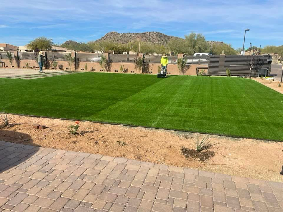 Artificial grass installation in a backyard with a worker using a roller, surrounded by desert landscaping and a mountain view.