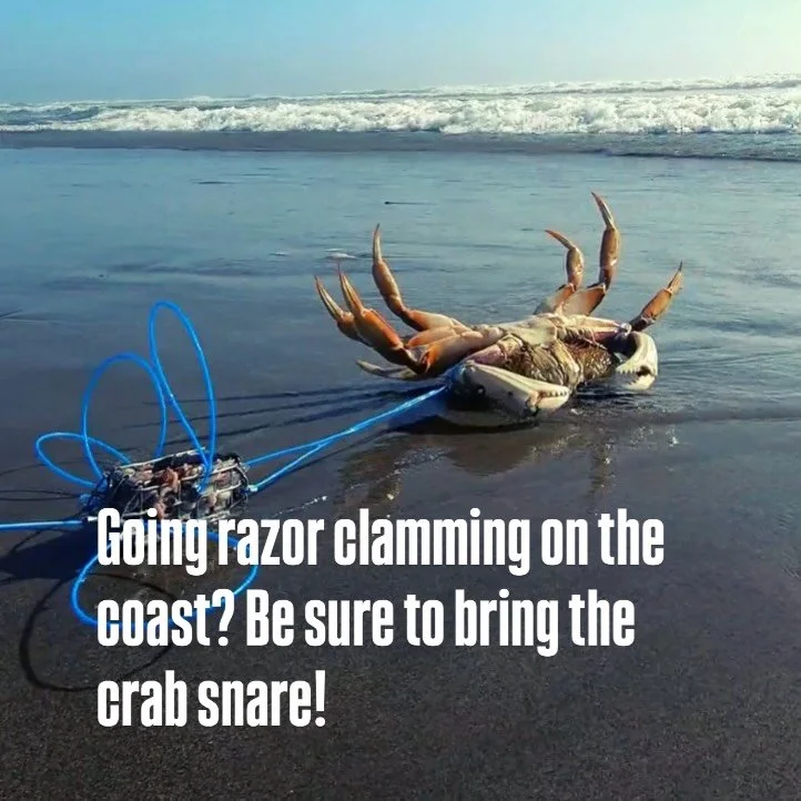 If you&rsquo;re headed out to the coast for razor clamming pick up one of our @durasnare crab snares for added daytime fun. Crabbing is OPEN on the coast all year long. We&rsquo;ve got plenty available either in the Edmonds machine or through direct 