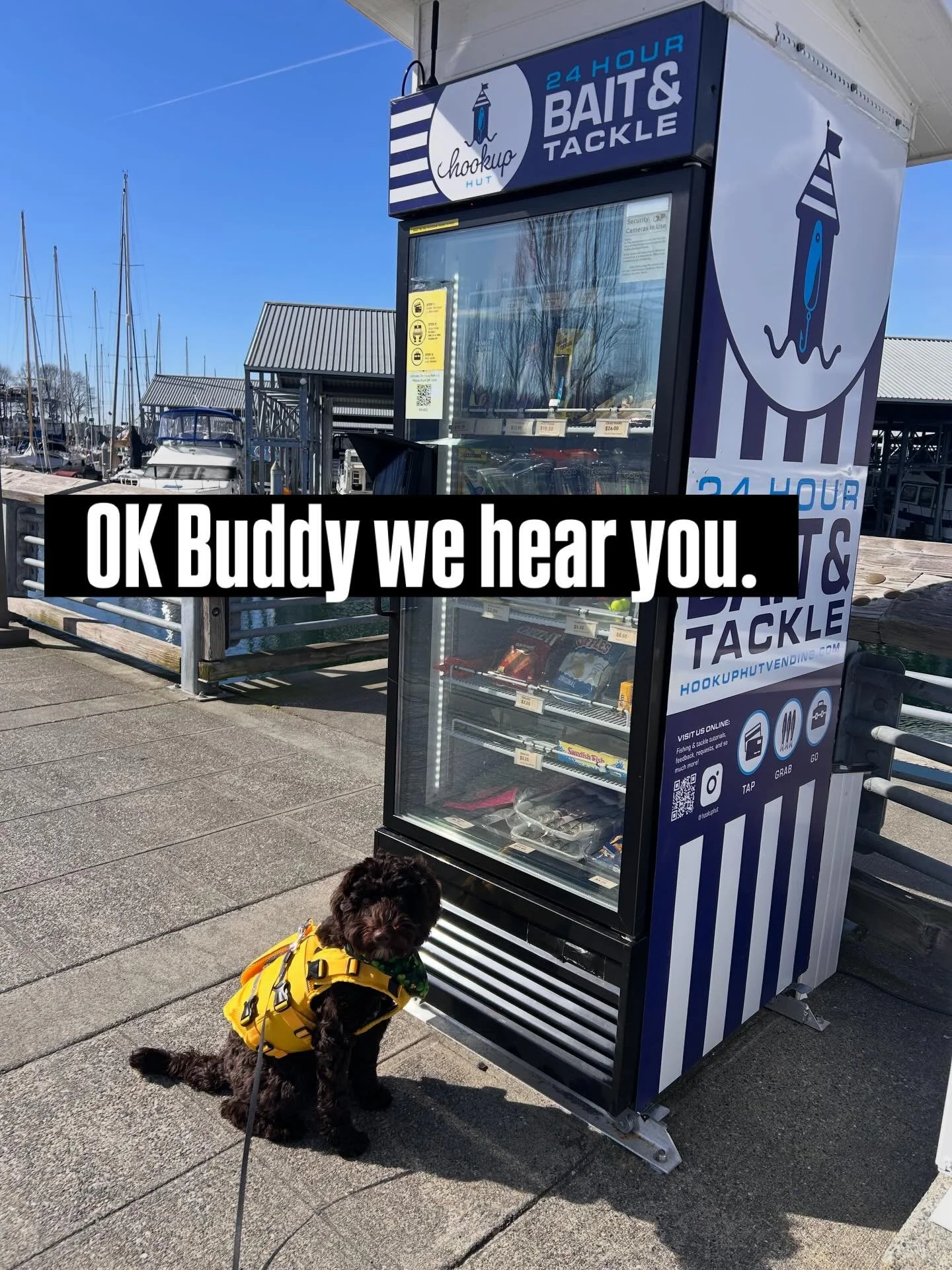 Dog treats coming soon!