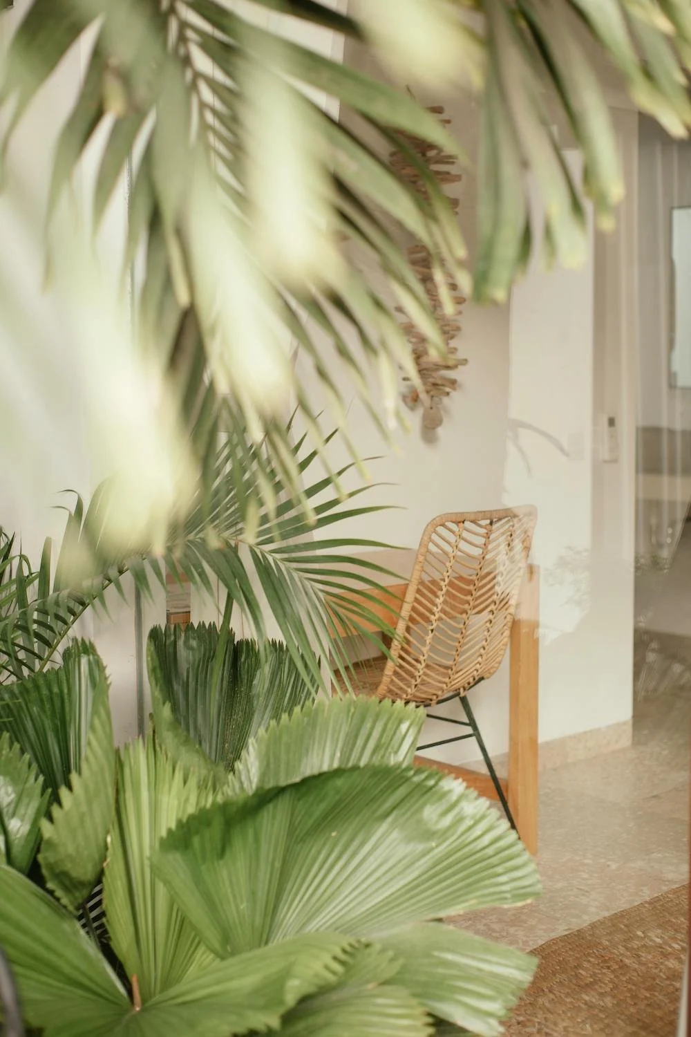 Indoor area with lush green tropical plants, rattan chair, and modern decor.