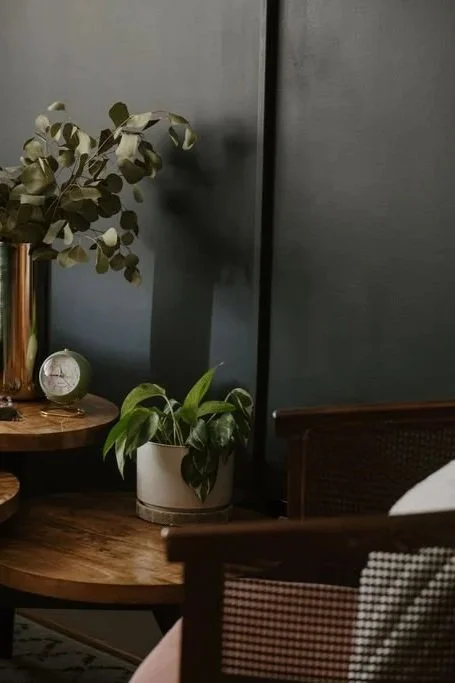Close-up of a dark wooden chair, a side table with a green potted plant, and a decorative vase with eucalyptus leaves inside a room with dark walls.