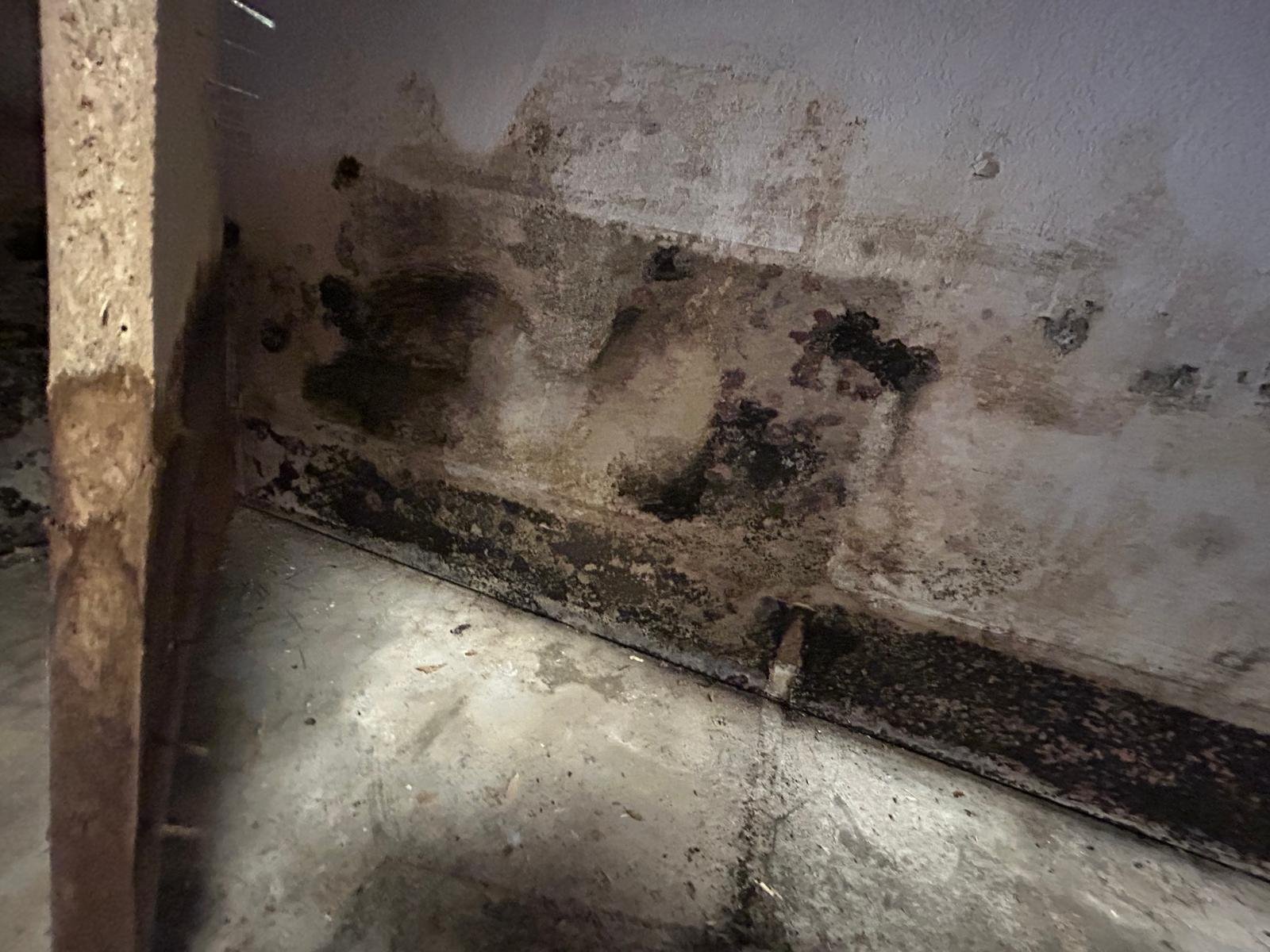 Mold Cleanup After Winter Storms: What Lancaster &amp; Antelope Valley Homeowners Need to Know