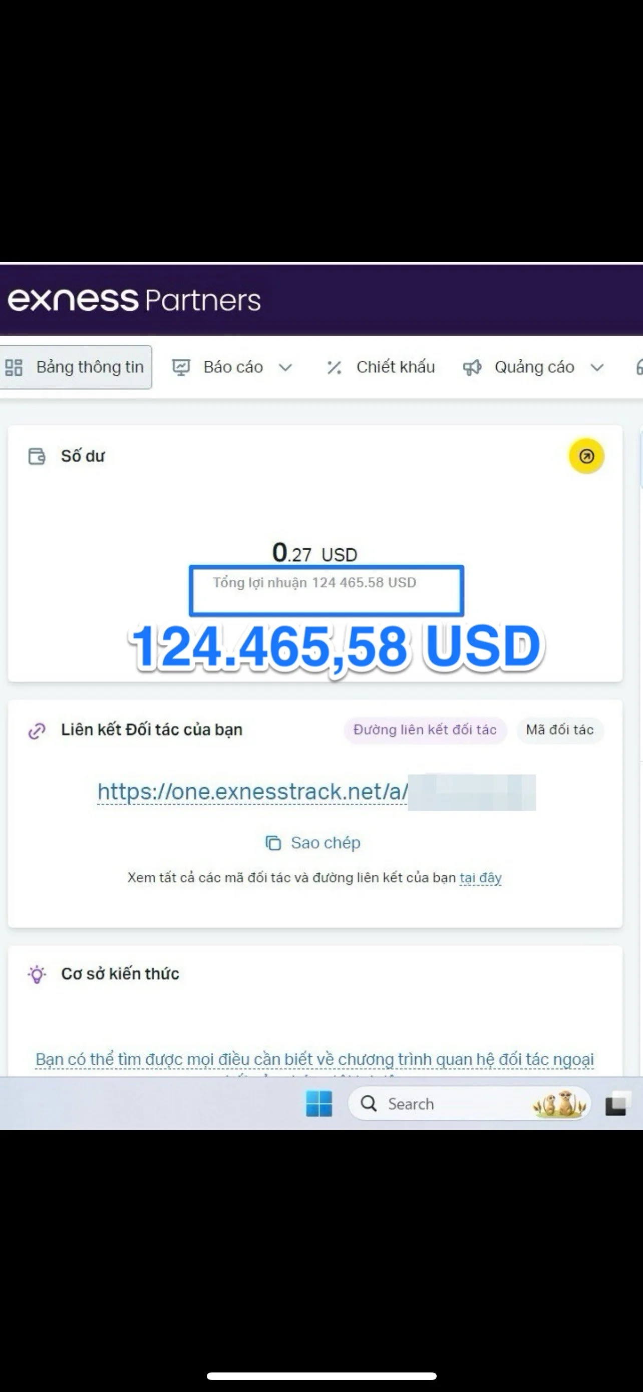 Screenshot of a financial dashboard showing a profit of 124,465.58 USD from a small balance of 0.27 USD, with a link to an external tracking site and some Vietnamese text.