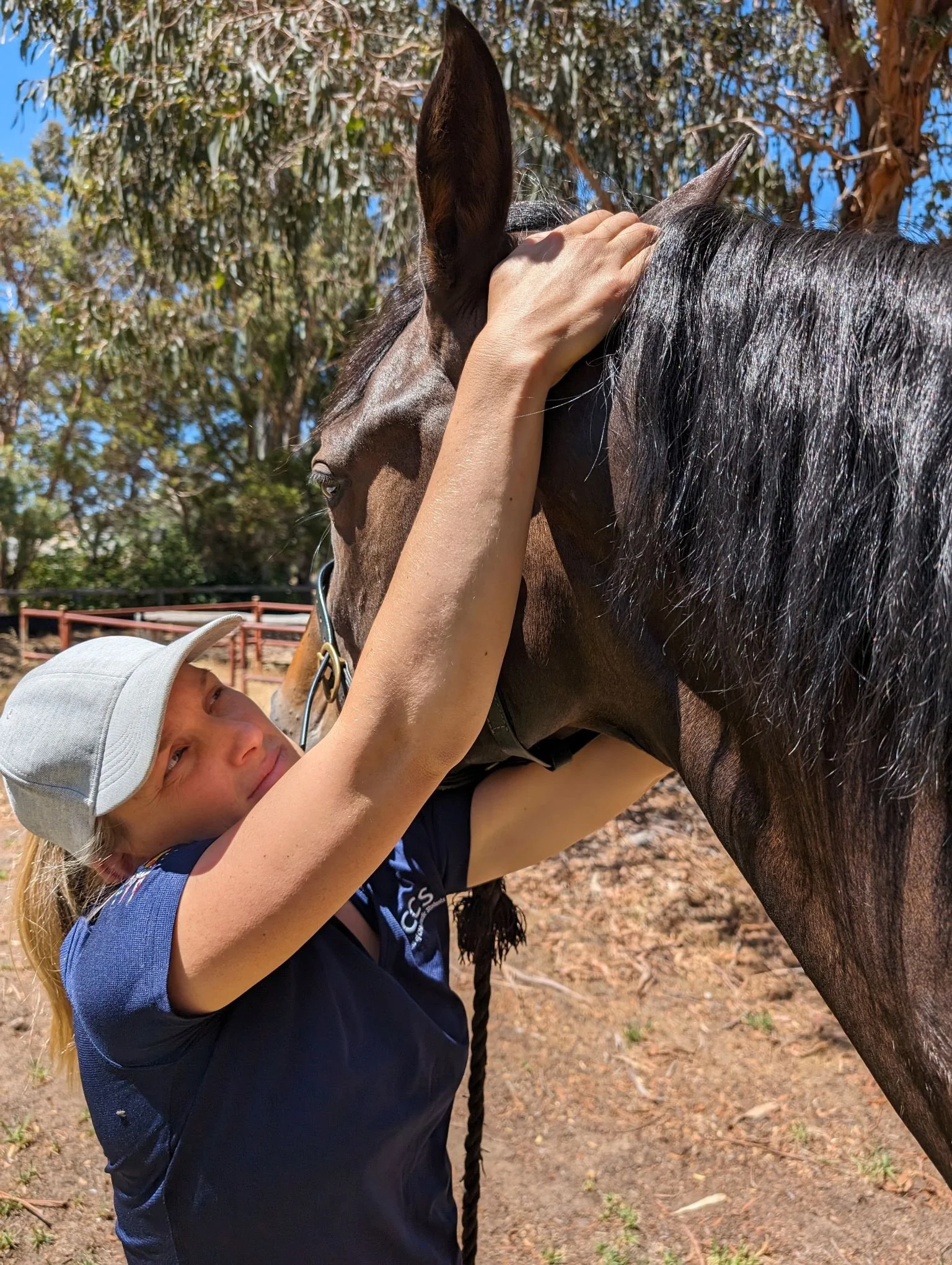 A young girl petting a dark brown horse with a black mane outdoors under a tree, with a blue sky in the background.