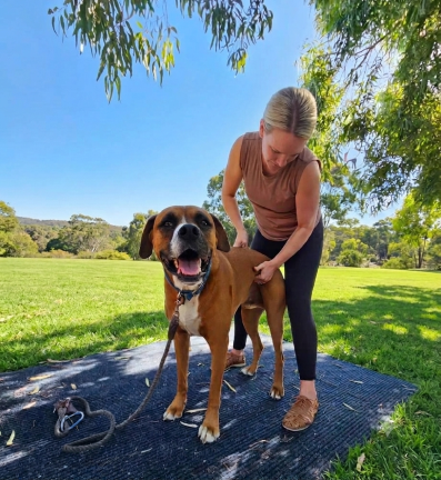Dog chiropractic Perth