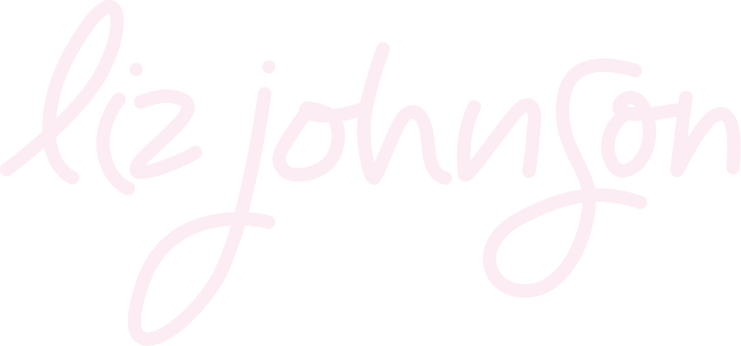 Liz Johnson | Branding &amp; Graphic Design