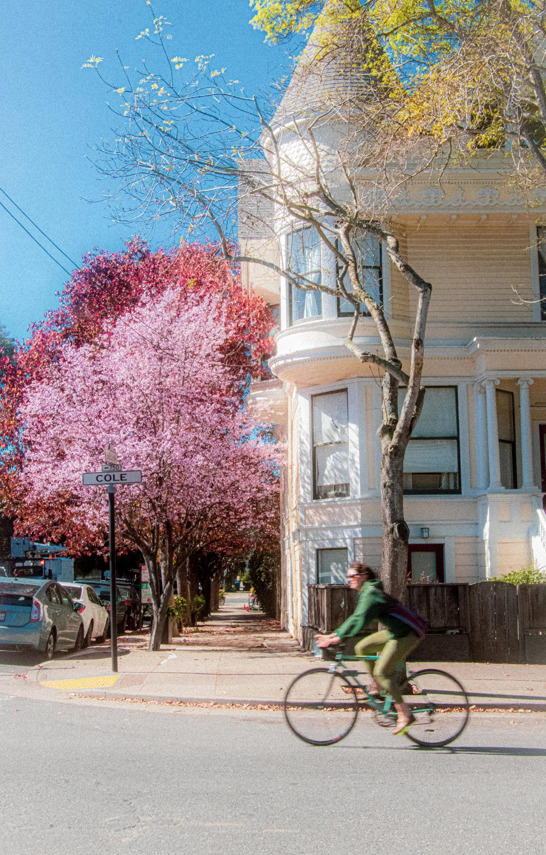 Cole Valley.jpg
