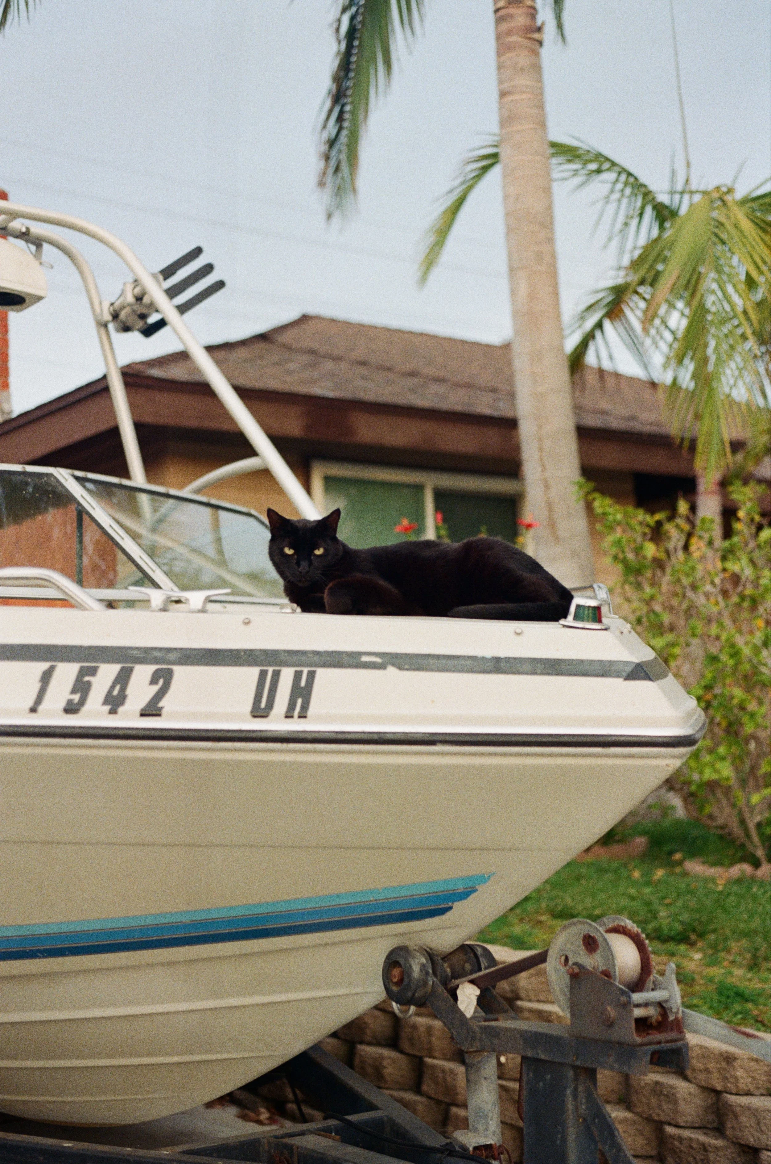 000042480025-min.jpg