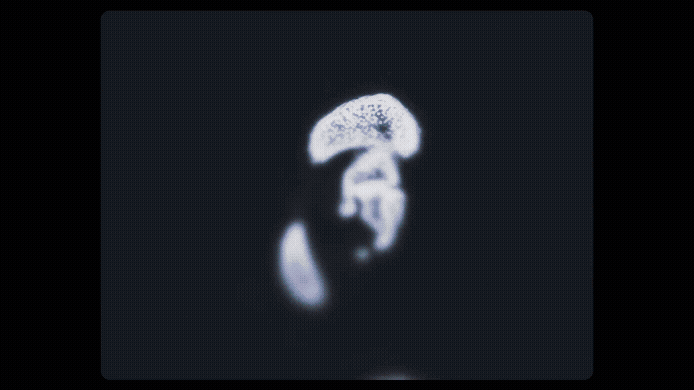 Convert to GIF project.gif