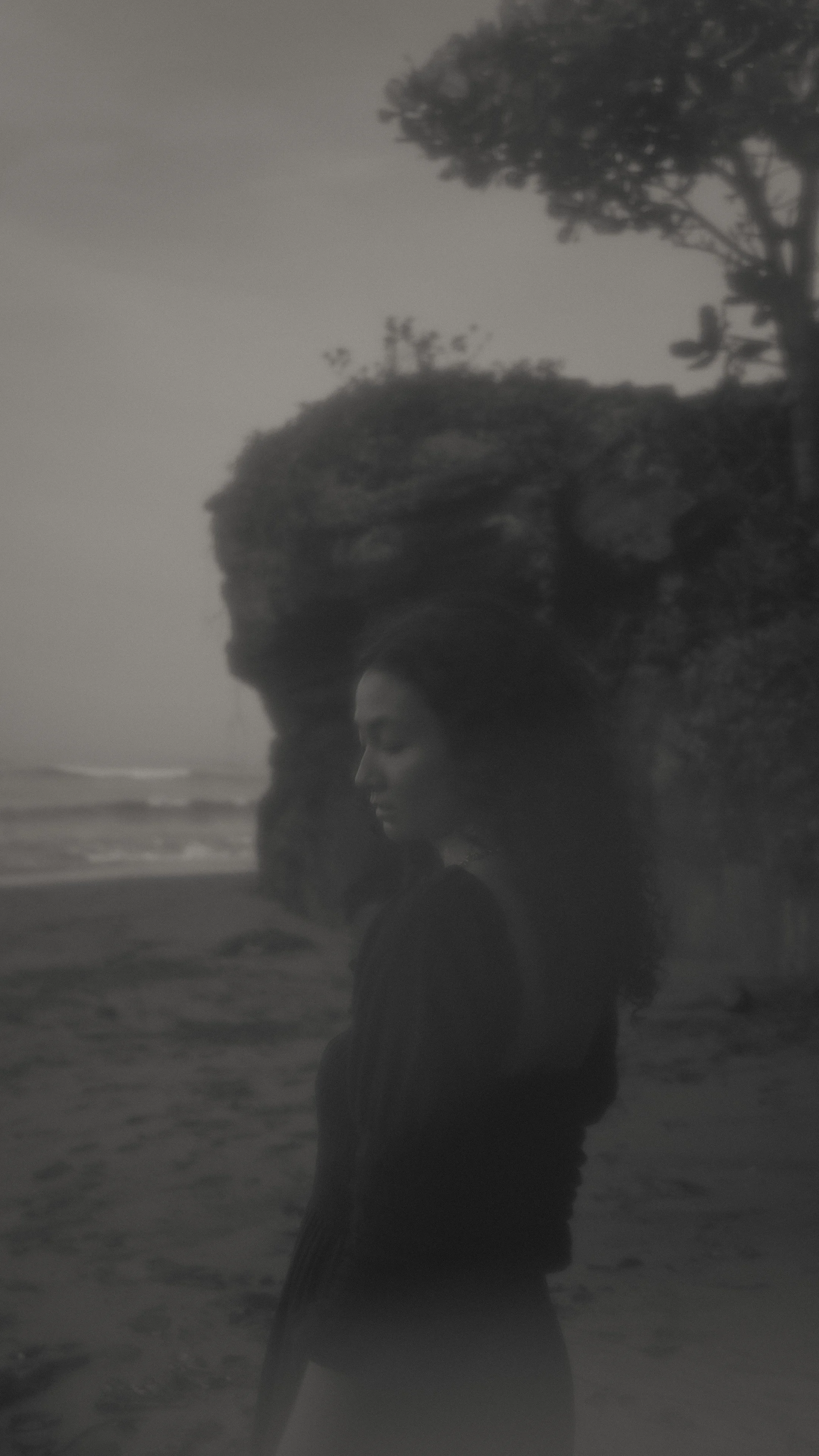 The Inner Sanctuary Healing