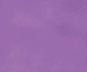 Close-up of a purple textured surface with no distinct objects or patterns.