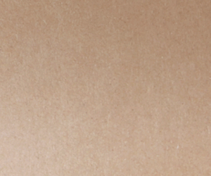 Blank brown cardboard surface