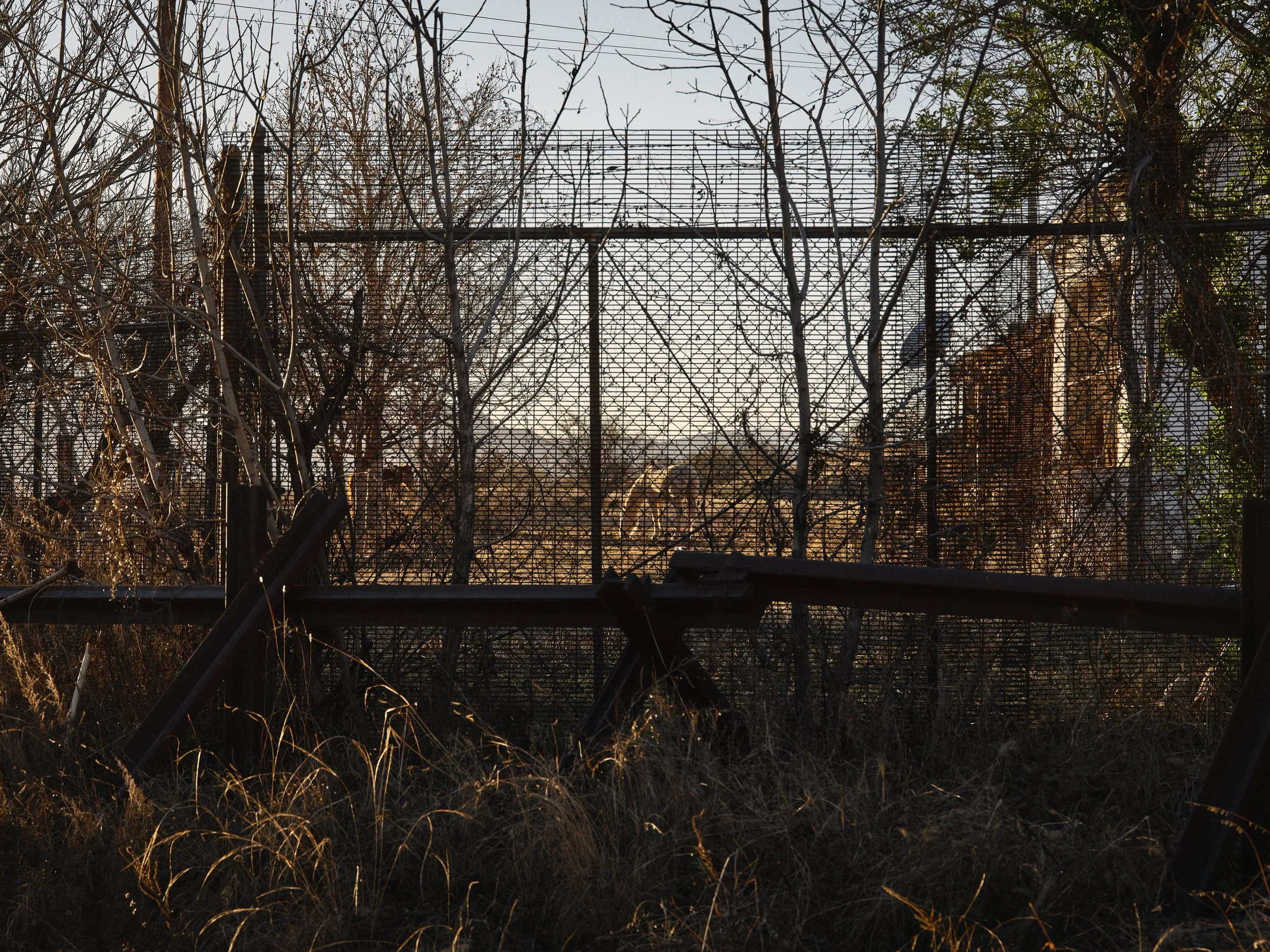 20260224SRV0139 1.JPG