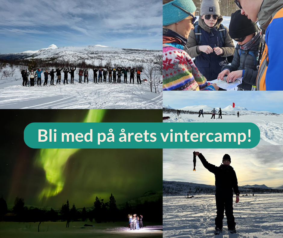 Ungdomscamp Saltfjellet