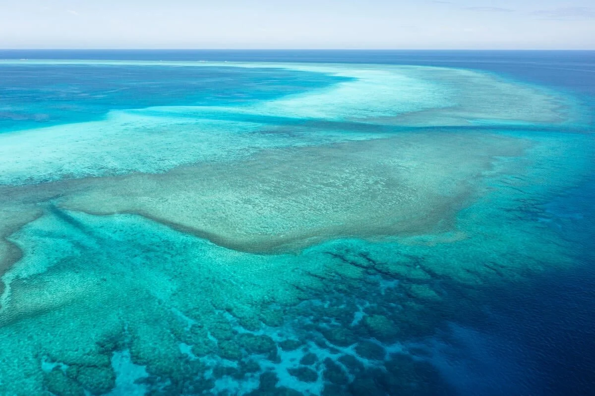 Parents for Climate - Gold Coast Screening