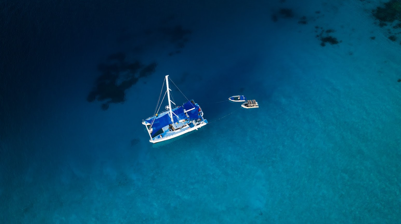 Maylands Corals Last Stand Screening