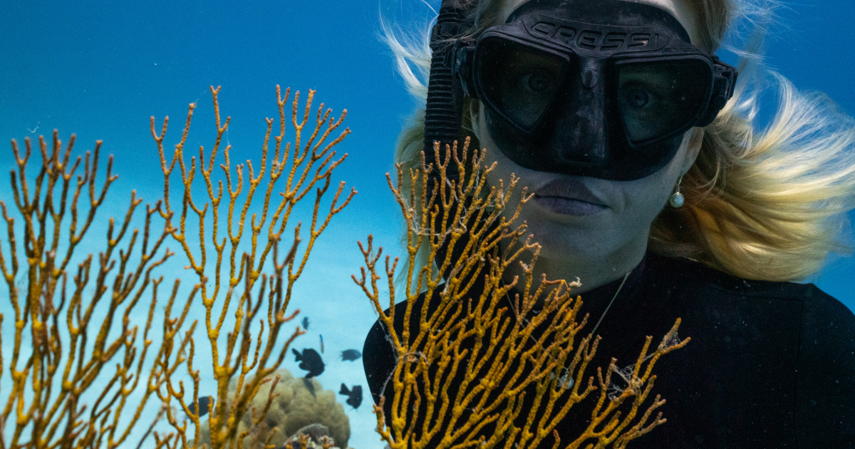 Tuart Hill - Corals’ Last Stand Community Screening