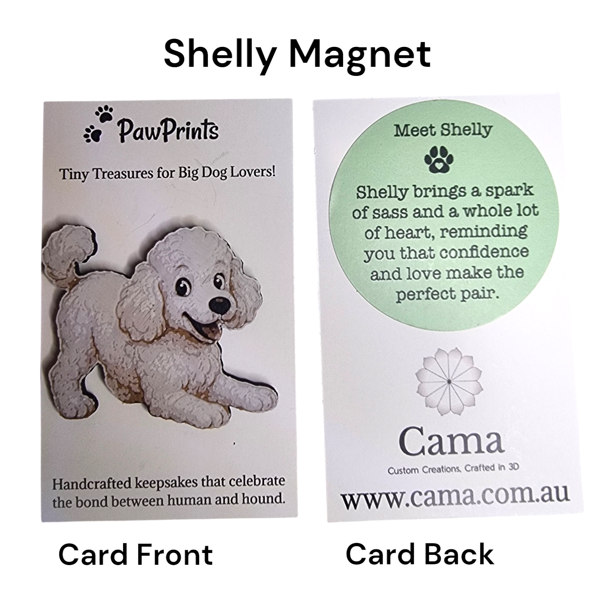 Shelly Magnet-Photoroom.png
