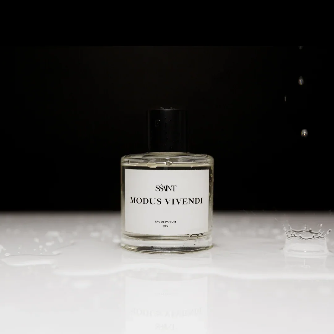 MODUS VIVENDI4.webp