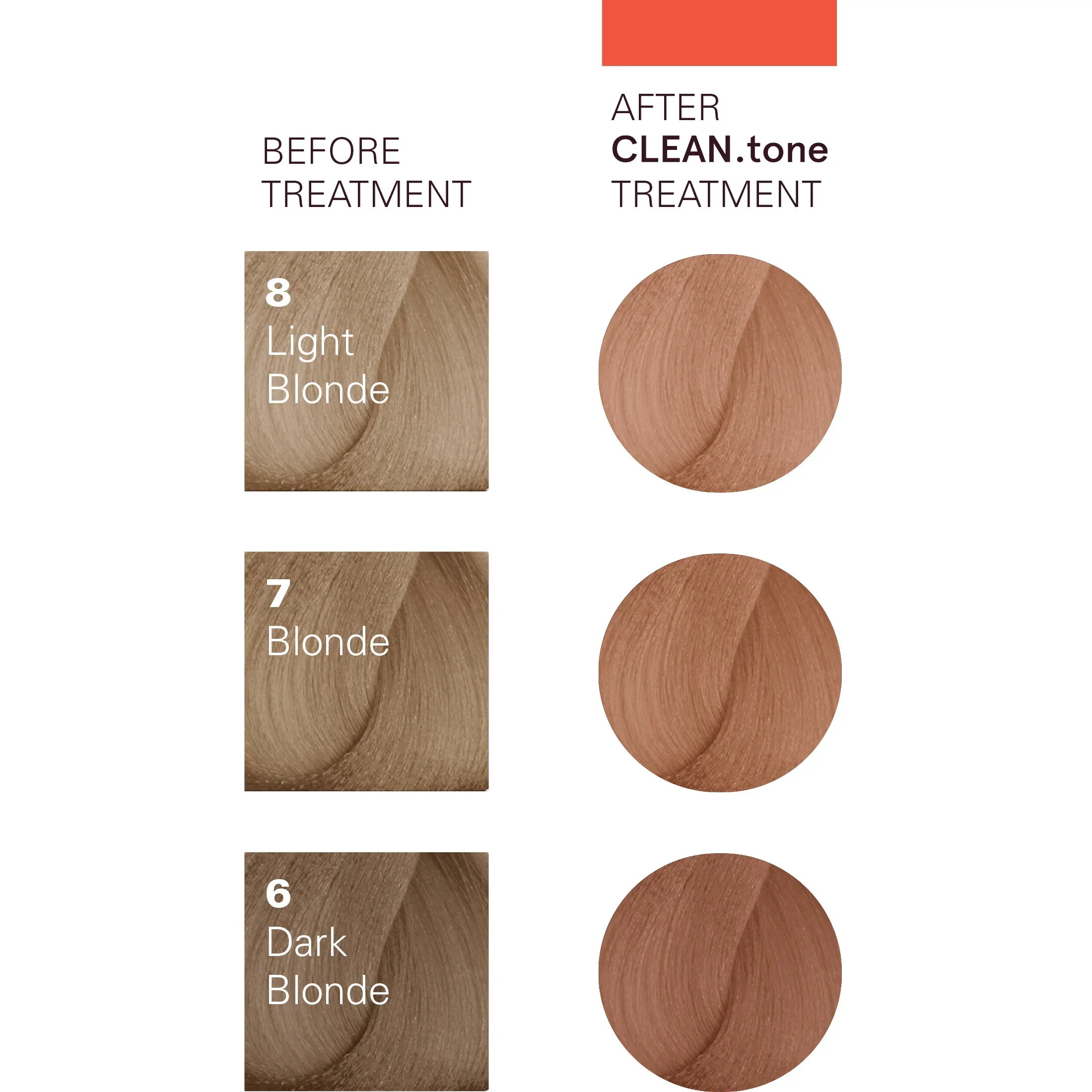 CLEAN.tones-Copper-Shades.webp