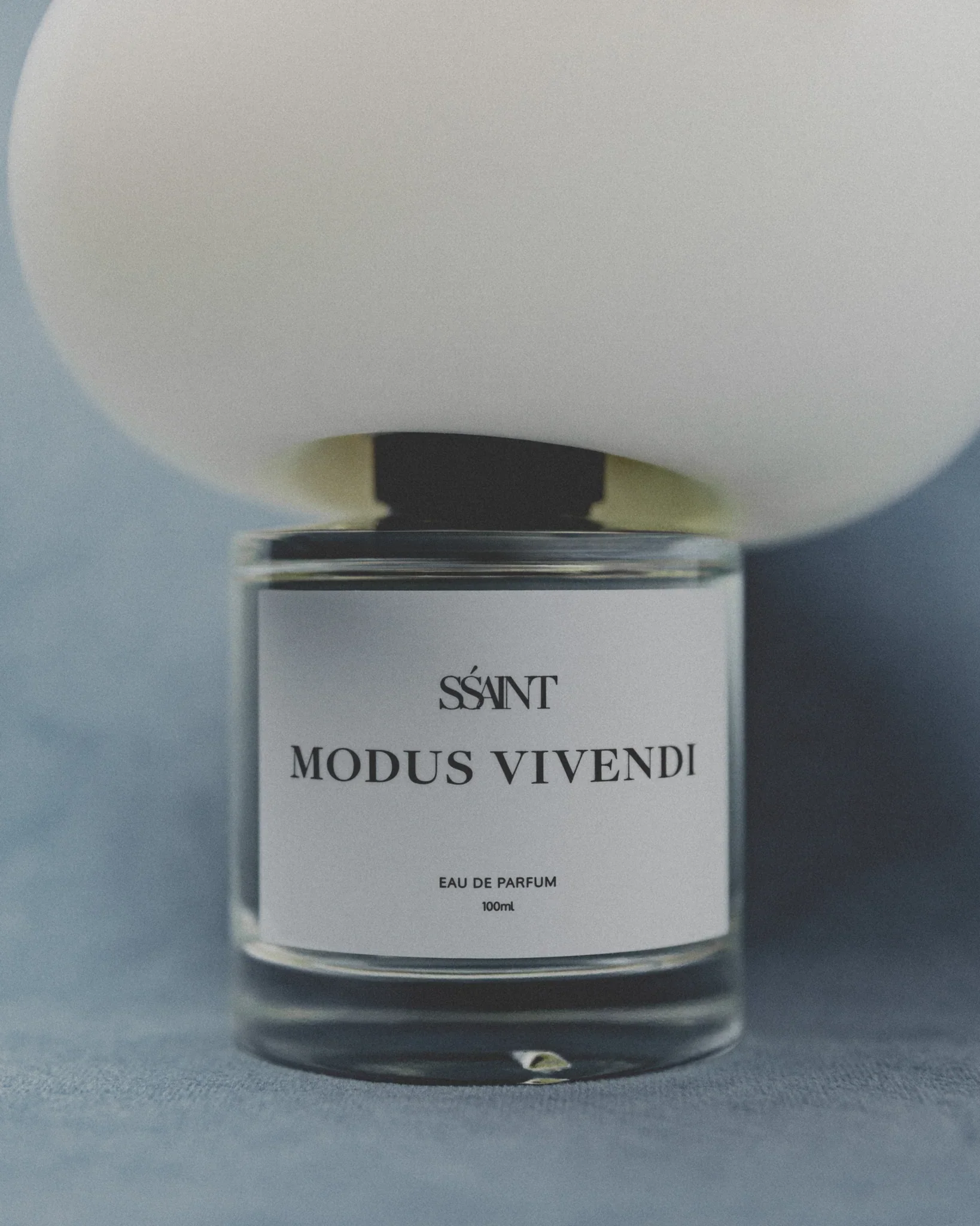 MODUS VIVENDI2.webp