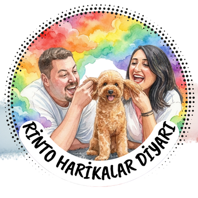 RİNTO HARİKALAR DİYARI