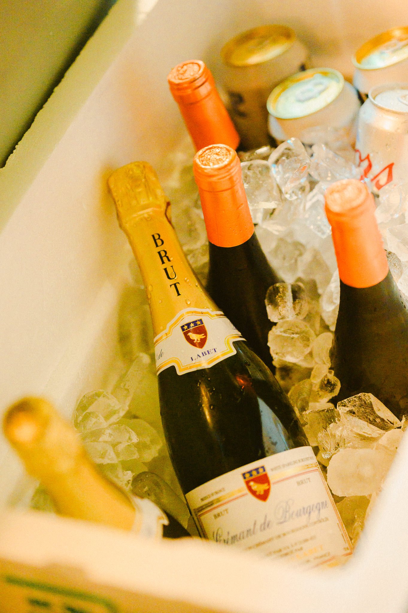 Withney_s Birthday 2025-77.jpg