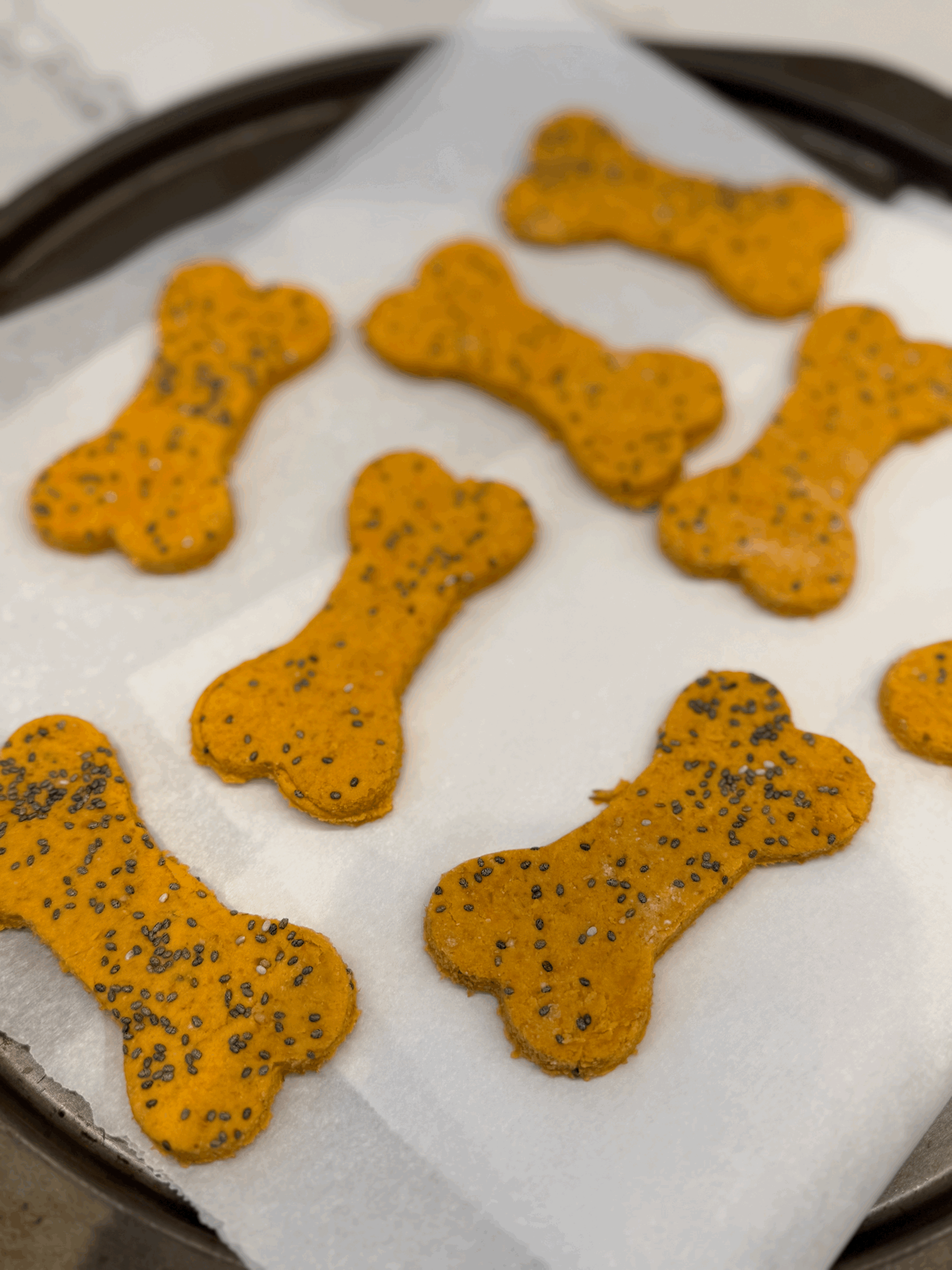 Pumpkin Chia Biscuits