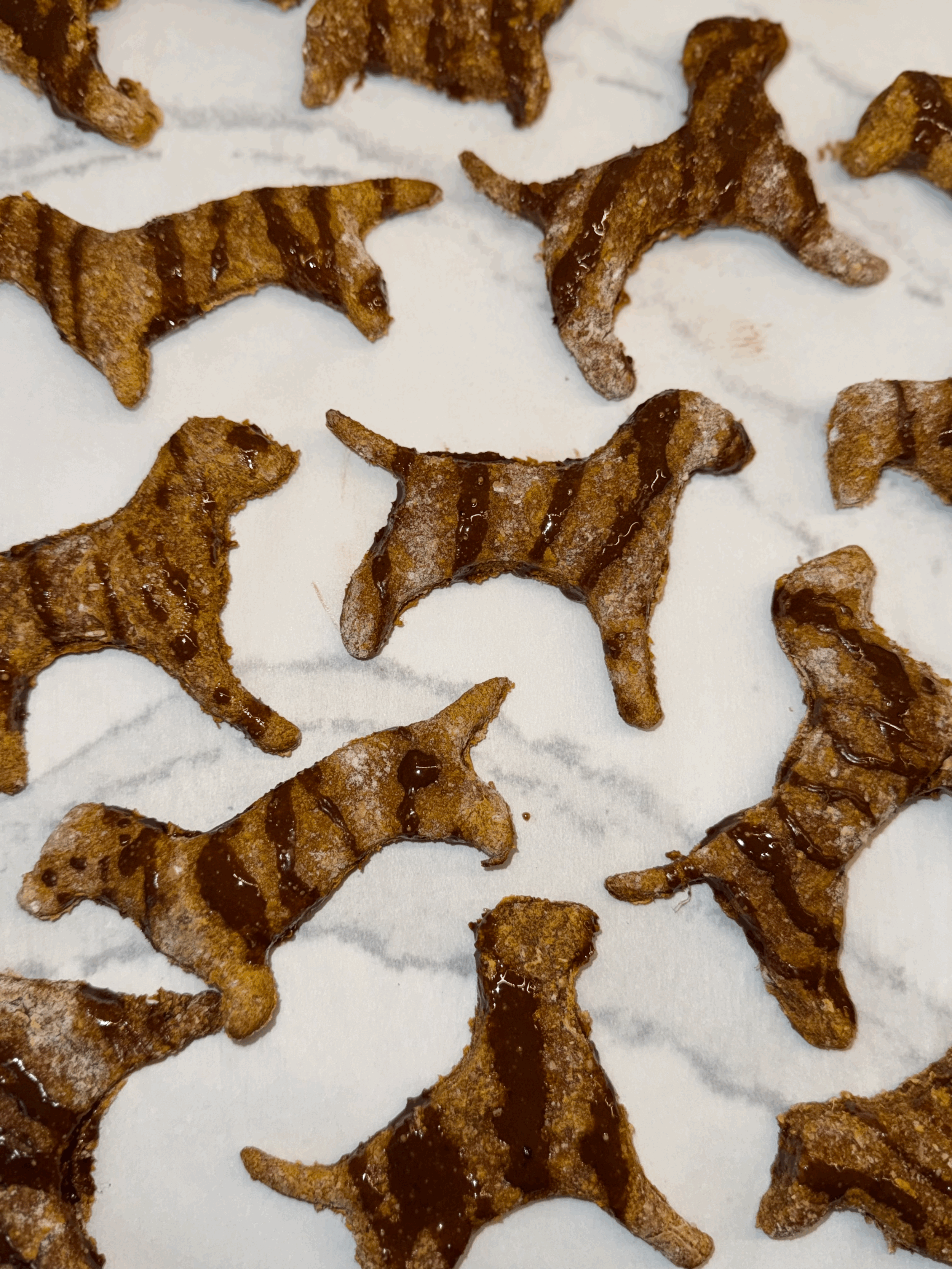 Pumpkin Drizzled Dogs