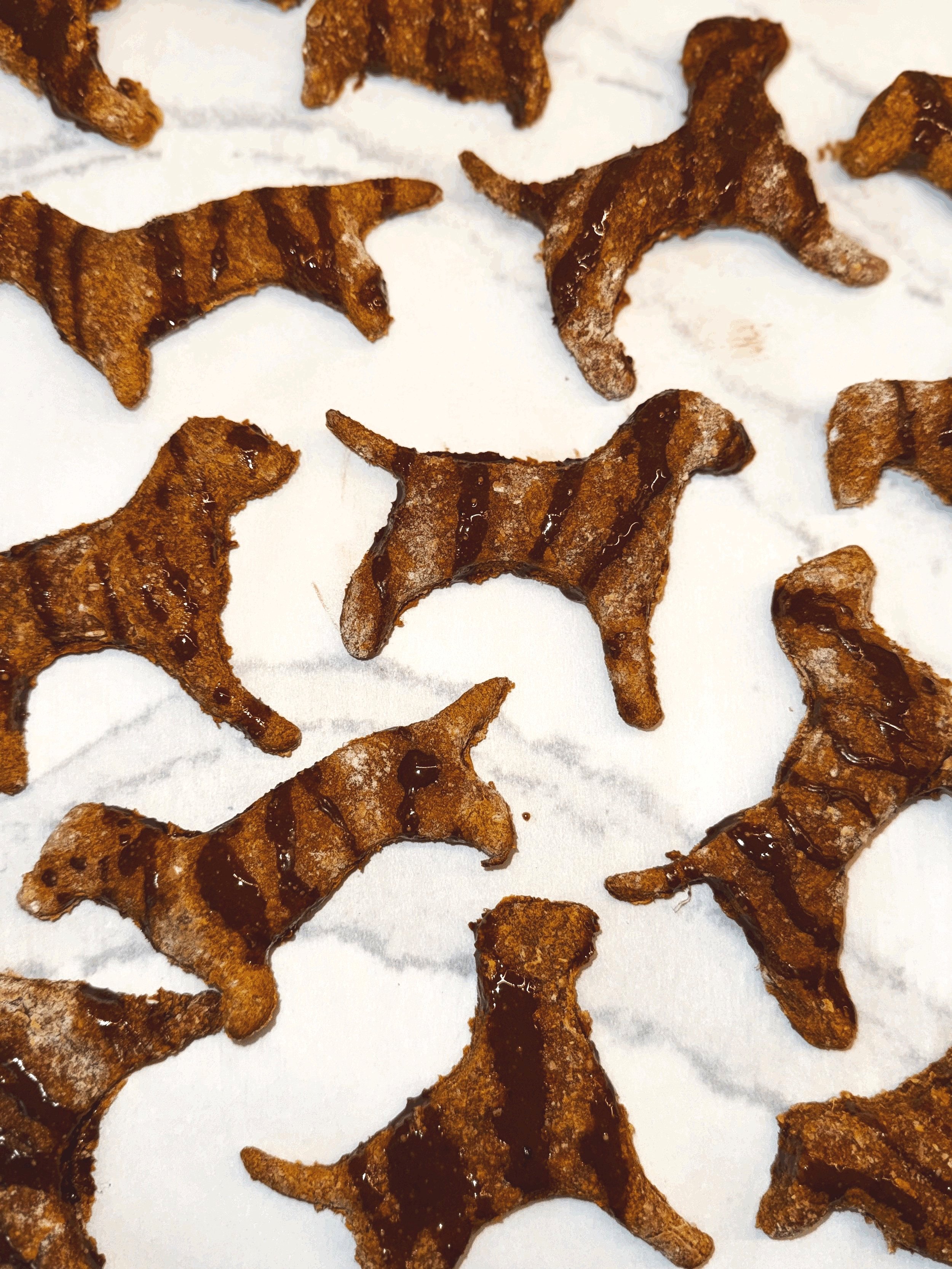 Homemade dog biscuits made with fresh pumpkin, cinnamon, ginger, and topped with a carob drizzle of organic coconut oil, peanut butter, and maple syrup, offering a healthy and delicious treat.
