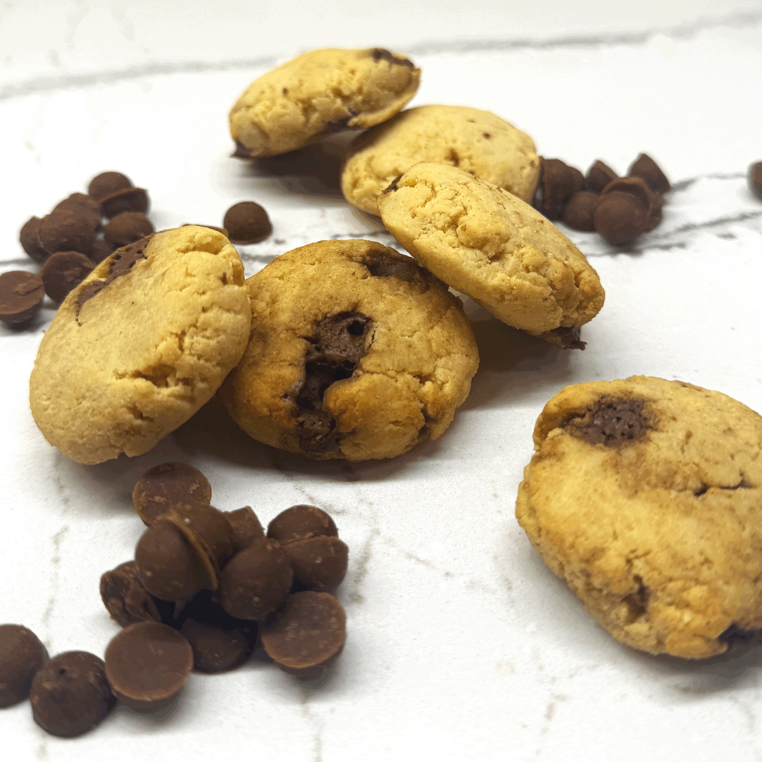 Homemade carob chip dog cookies made with organic almond flour, coconut flour, natural virgin coconut oil, and carob drops, offering a healthy and delicious treat for dogs.