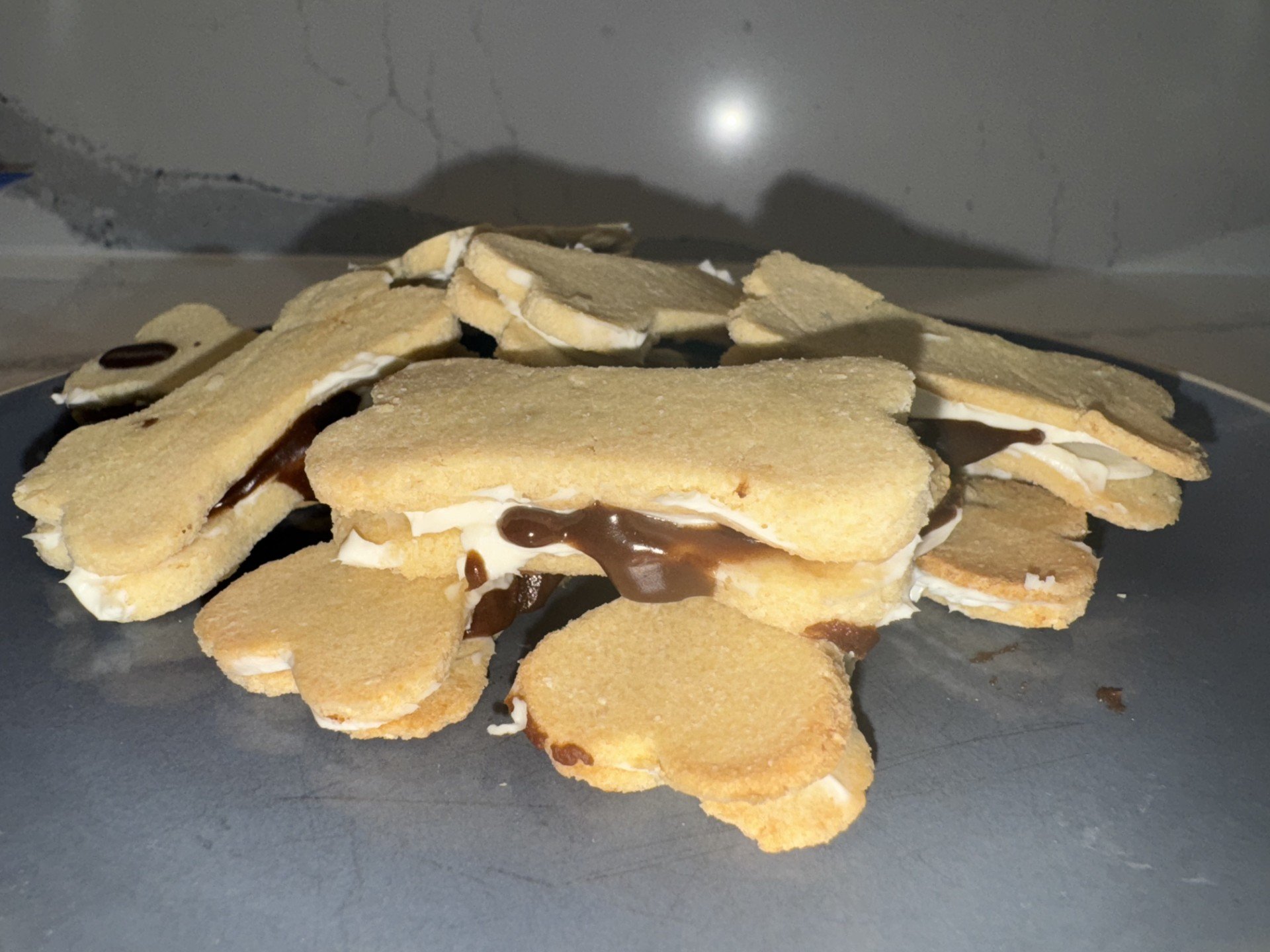 smores.jpeg