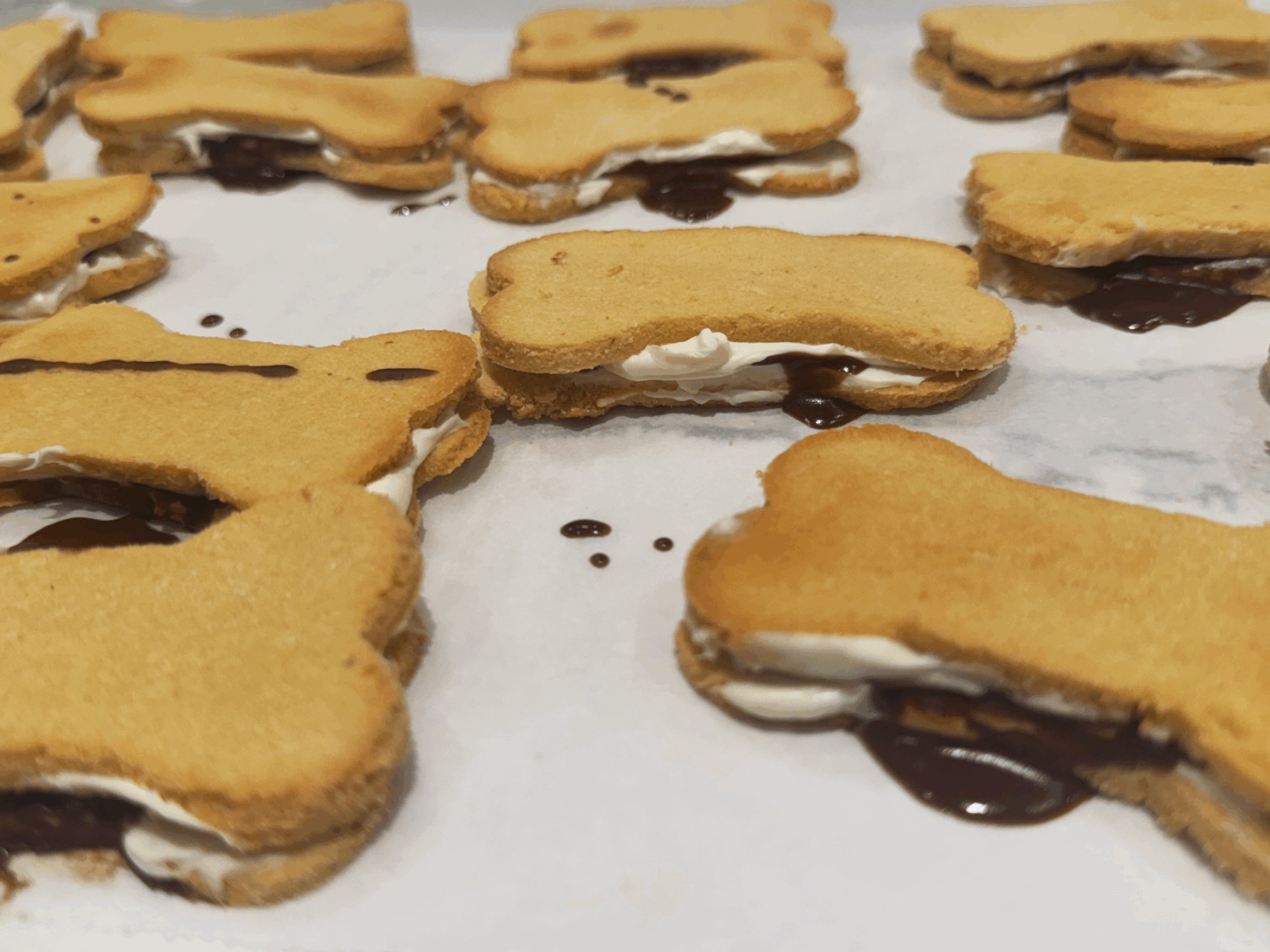 S’mores Biscuits
