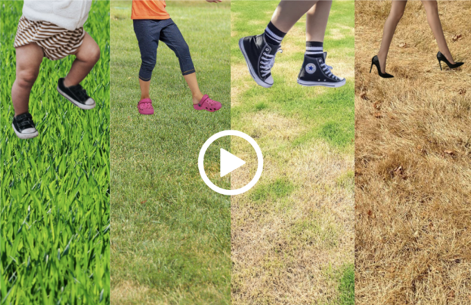 Screenshot 2025-12-11 at 5.38.27 PM.png