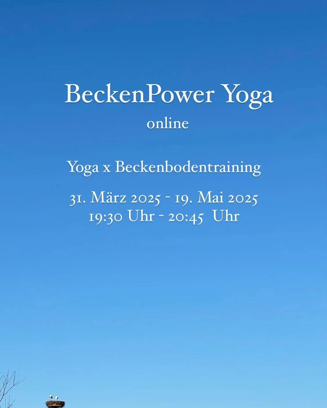 Am 31. März beginnt mein Online Yogakurs "BeckenPower". Für 8 x 75 Minuten treffen wir uns online, um gemeinsam Yoga zu machen. In diesem Kurs liegt der Fokus auf unserem Beckenraum: Unterbauch, unterer Rücken, weibliche Gesc