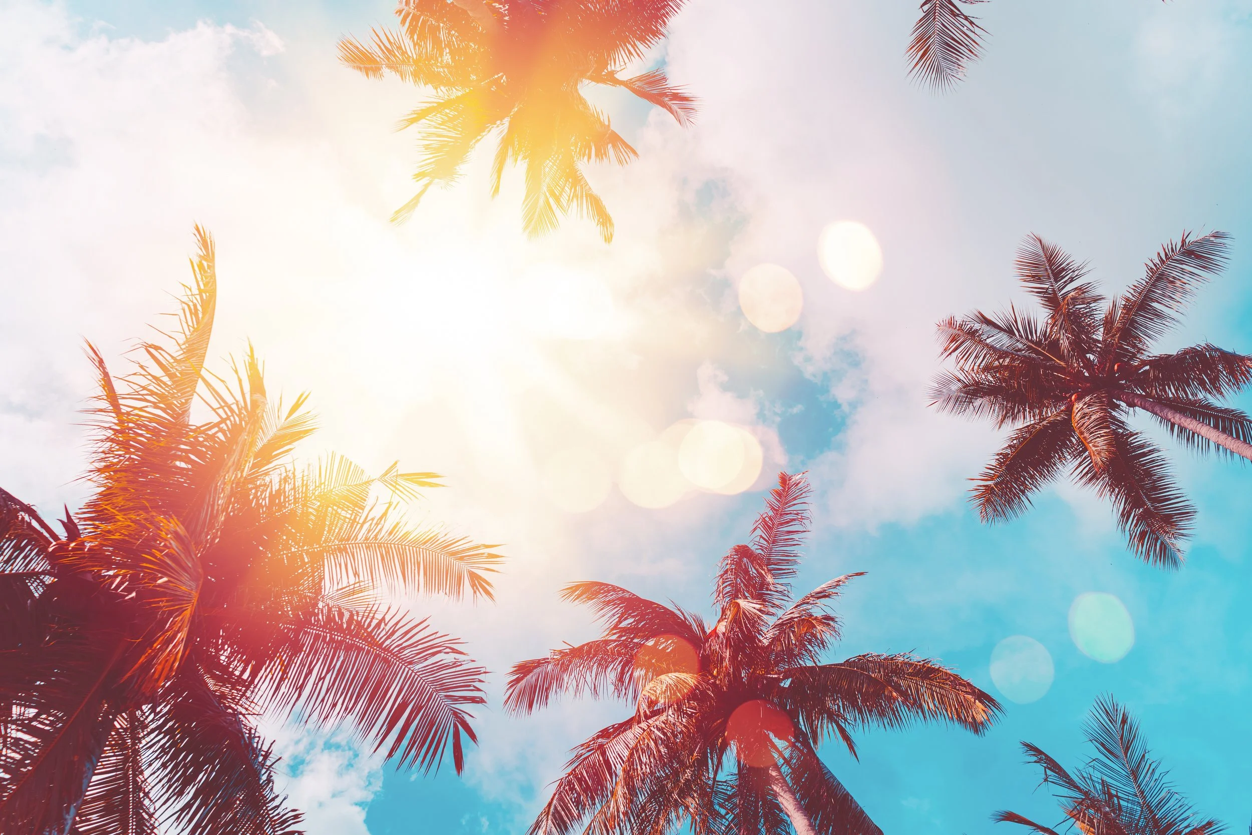 Sunlight shining through Hawaiian palm trees against a blue sky with some clouds and lens flare.