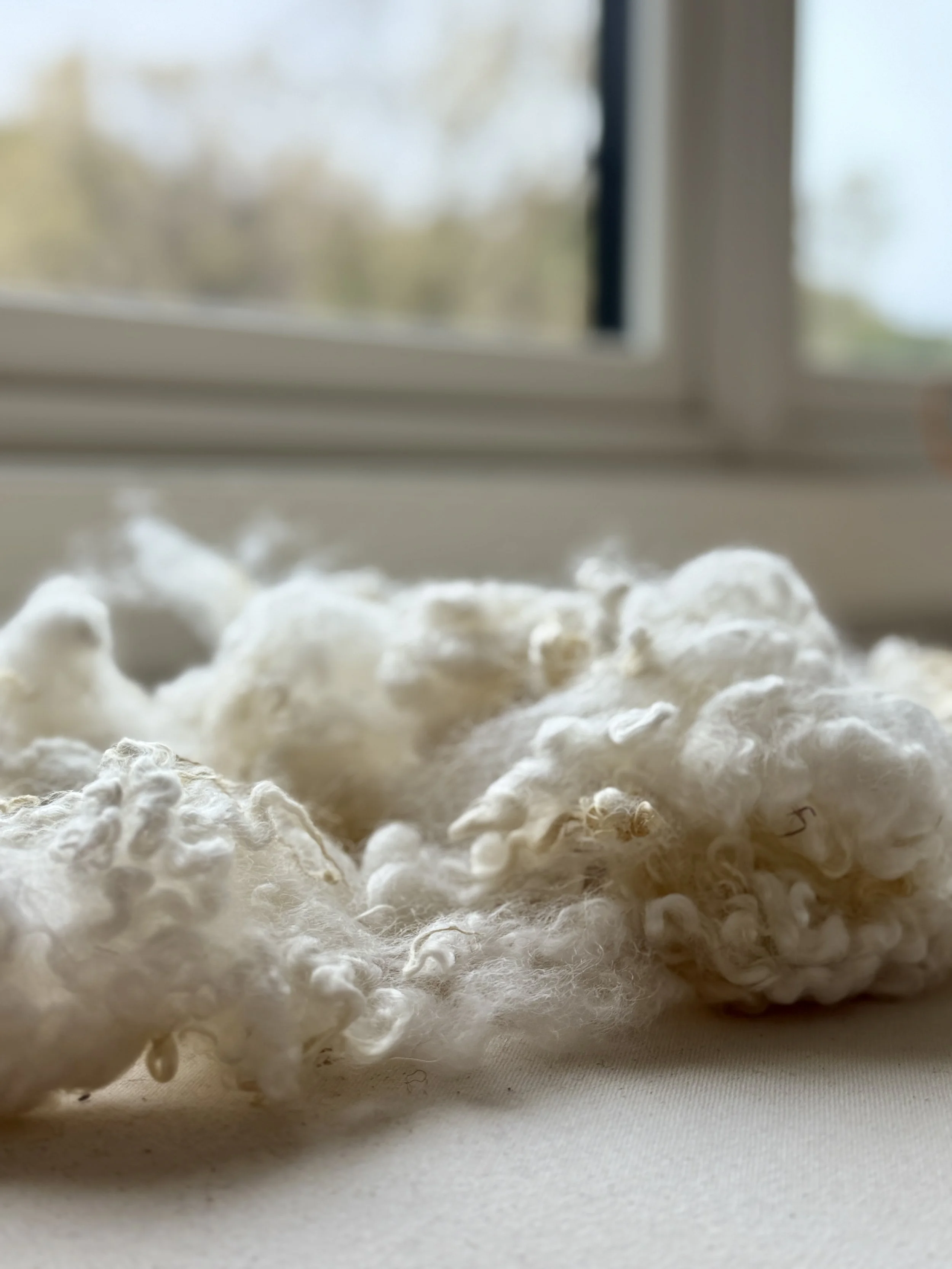 Why Wool?
