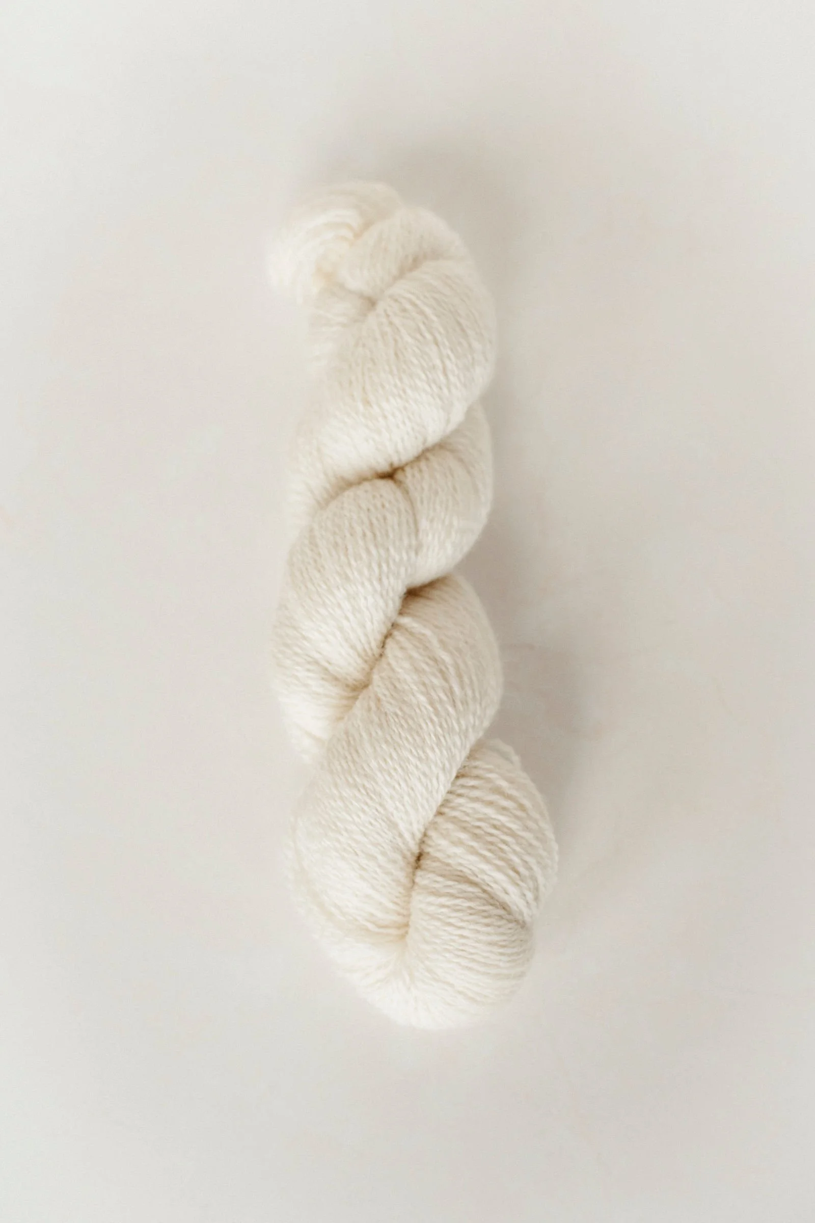 Bellwether_Product_May2025-10.jpg