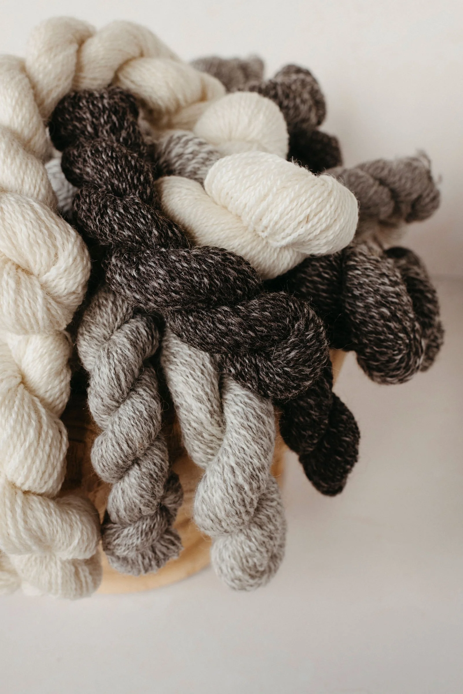Bellwether_Product_May2025-20.jpg