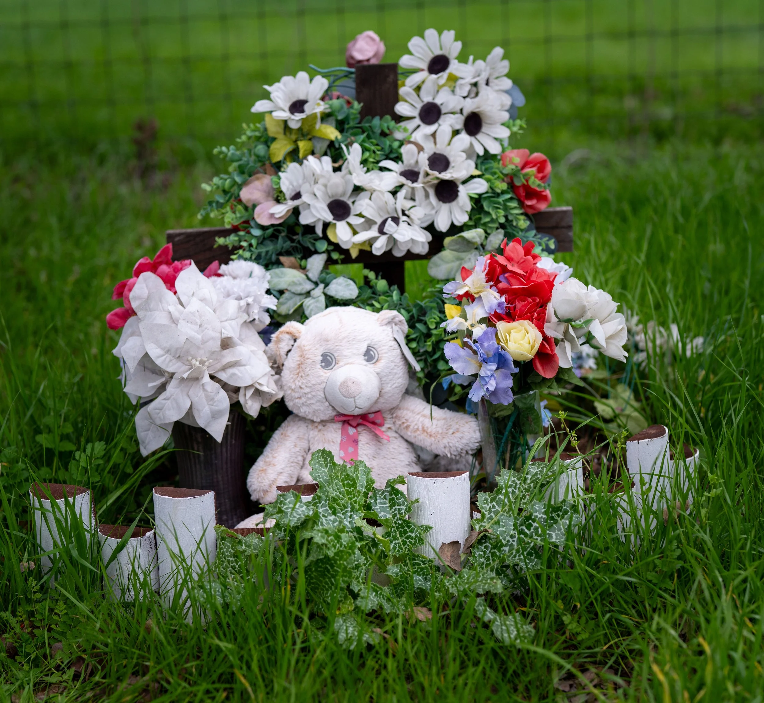 Unknown - Hwy 88 - San Joaquin County