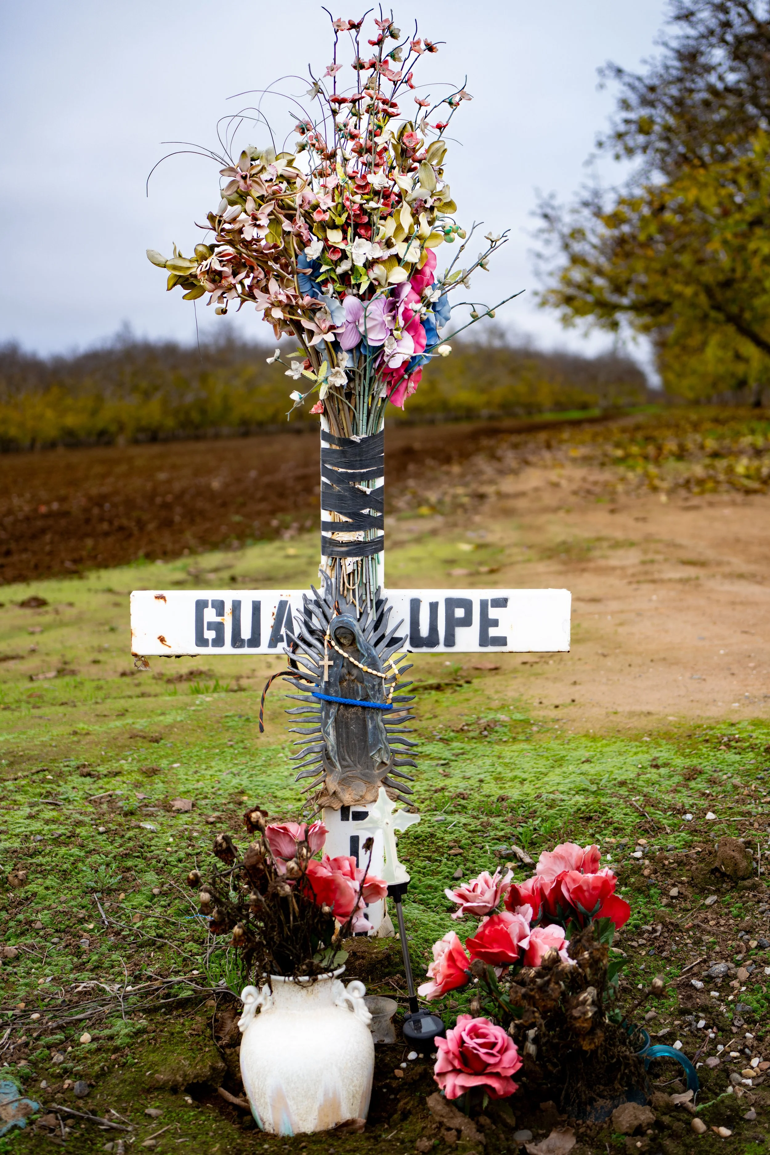 Guadalupe - Hwy 26 - Linden, CA